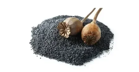 بذور الخشخاش
