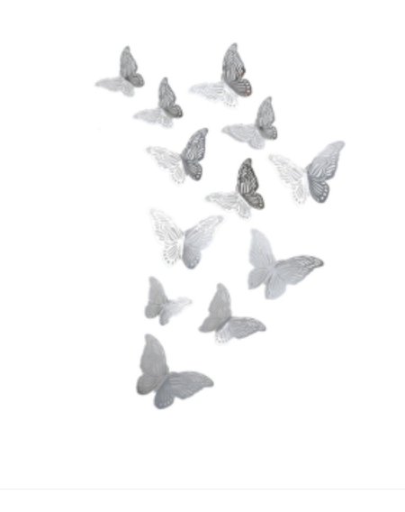 فراشات فضي