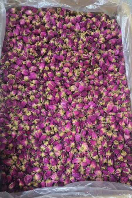 ورد محمدي فوشي